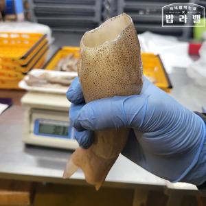 통손질 오징어 원양산 급냉 사이즈별 택1