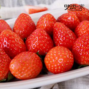[산지직송] 경남 산청 하이베드 달콤한 제철 딸기 1kg