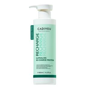 리차지프로테인 480ml /염색모케어 트리트먼트