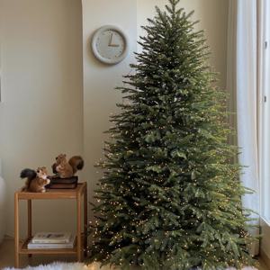 로맨스트리 PE100% 전구세트