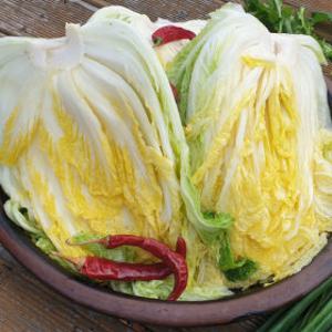 GAP획득 양가네 해남 절임배추 20kg