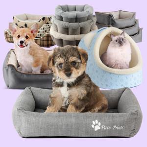 강아지집 대형개집 고양이겨울집 애견텐트 반려견침대 방석 강아지집 대형개집 고양이겨울집 애견텐트 반려
