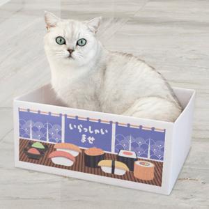 나우스팩 냥이 애착 숨숨박스 - 4가지 디자인 집사가 준비한 역대급 선물 숨숨박스 + 스크래처 + 캣닢 세트