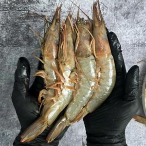 국내산 통통한 자연산 급냉 대하 새우 1kg 25미 내외