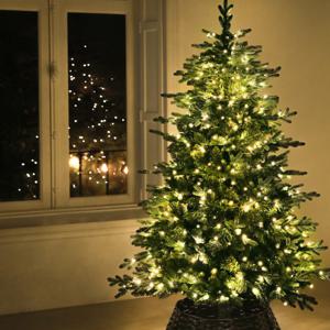 윈터스케치 지네전구 크리스마스 트리 장식 홈파티 꾸미기 데코 좁쌀전구 300구 투명선