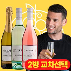2병세트 이든베일 호주직수입 논알콜와인 750ml 레드 화이트 샴페인 무알콜 알콜제거와인 호주산 파티와인