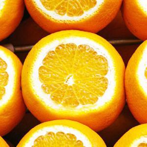 초록들농산) 네이블오렌지 40개(야구공크기) / 그 외 크기선택가능