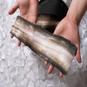 (신선집중) 국내산 풍천 자포니카 민물장어 1kg (주문즉시 손질 후 700g 내외 2-3미 초생강소스)