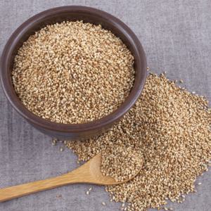 깊은 산골마을 대붕암마을 참깨 25년 햇 참깨 1kg