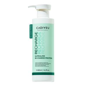 카디뷰 리차지프로테인 480ml  / 염색모케어 트리트먼트/손상모마스크