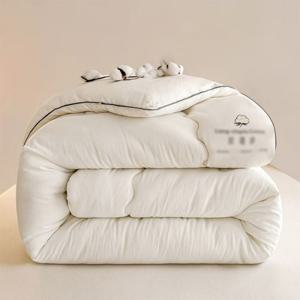 낮잠 A등급 100% 순면 이불 겨울 솜 이불 사계절 이불