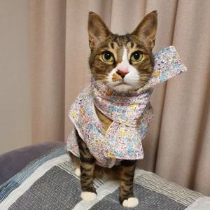 레트로 강아지 플라워 애견 간식 할매 패딩 목도리 김장 조끼 용품 세트