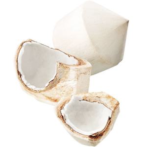 초록들농산) 영코코넛 9개