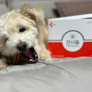 견사돌 닭고기 14p 강아지 덴탈껌 치석제거 입냄새 완화 영양제 간식