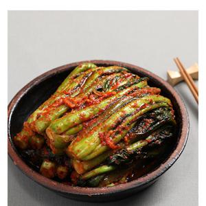 당일제조/ 양념이 풍부한 전라도 돌산 갓김치 2kg /대통령상 2회 수상