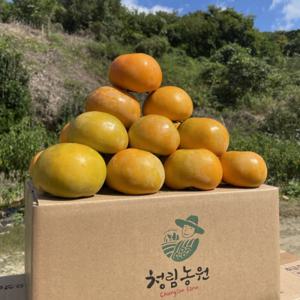 진영단감 청림농원 부유단감 햇 단감 2.5kg 소과 중소과 중과 GAP 인증 농장직송 신선한 명품단감