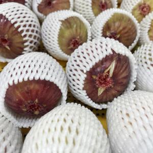 영암 무화과  (GAP인증) 생과 홍무화과 특가행사  500g 6~8과