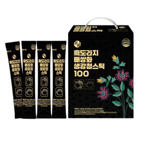 로팜 흑도라지 배 쌍화 생강 10g x 100포 스틱 대용량 판촉 선물 건강즙