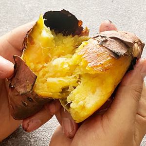 25년 해남 베니하루카 꿀고구마 햇고구마 3kg 5kg+5kg