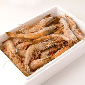 국내산 서해안 자연산대하 1kg