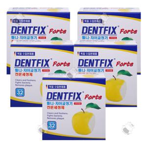 덴트픽스 포르테 틀니세정제 32정 5개