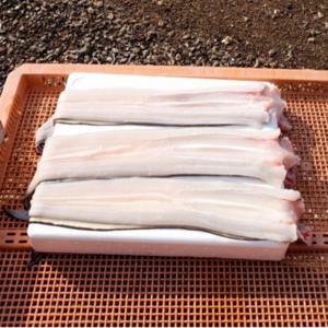 국내산 손질 바다장어 1kg (2-3미) 소스 2종 증정