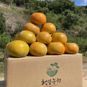 진영단감 부유단감 햇 단감  5kg 특대과  /10kg 대과 / (가정용) 품평회 1등 수상 경력있는 농가