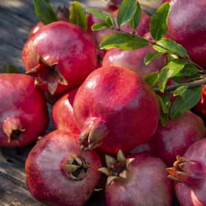 착한가격 석류 미녀 추천 새콤달콤 과일 선물(2kg내외/5kg내외)