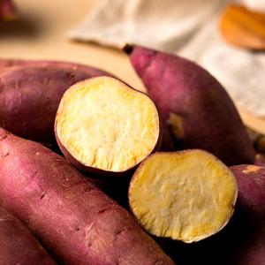 전라도청년 해남 꿀 밤고구마 세척 한입 2kg