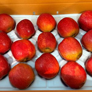 경북 제철과일 고당도 감홍 사과 프리미엄 특품 5kg 로얄과