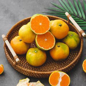 선별배송 제주 노지 감귤 4.5kg 로얄과 (S/M)