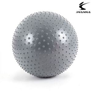 아이워너 마사지 짐볼 65cm -실버