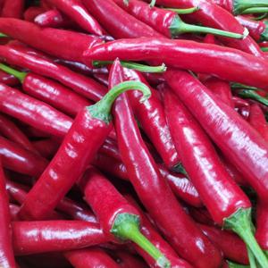 산정마을 국내산 홍고추(특품) 2kg