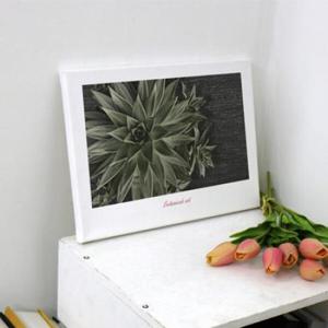 아트박스/꾸밈 bc057-캔버스액자33.4x24.2_보테니컬아트