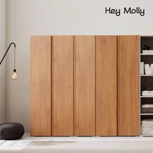 헤이몰리 어필 모듈 시스템 맞춤형 2000 옷장 이불장 장롱 세트
