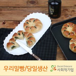 [씨튼베이커리] 달콤한 백옥앙금이 한가득  씨튼우리밀국화빵