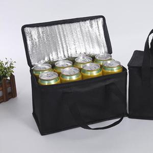 보온보냉가방 맥주캔 여덟개 쿨러백 미니 아이스박스