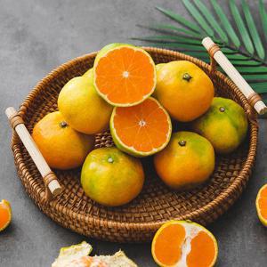 선별배송 제주 노지 감귤 9kg 중대과 (L/2L)