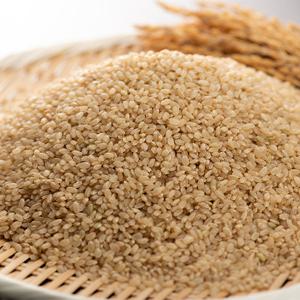 [자연맛남] 전주시 디자인농부 현미 영양가득 1kg