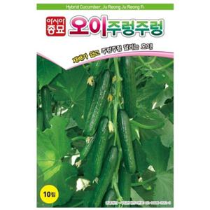 아시아종묘 씨앗 오이 주렁주렁 10립