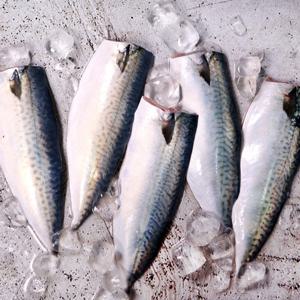 국내산순살고등어100-120g x10팩_냉동