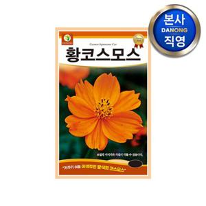 황코스모스꽃 씨앗 1kg . 조경 정원 화단 관상용 야생화 식물 파종 꽃씨 종자.