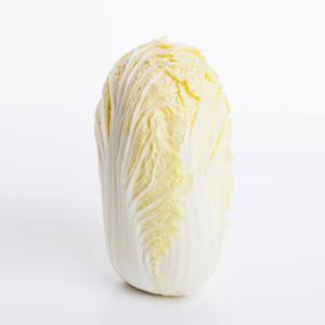 알배기 쌈배추 알배추 12통(8kg 내외)