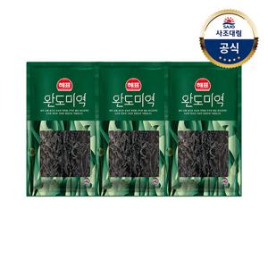 [사조대림] 완도 미역100g x3개