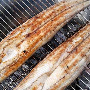 고창 풍천장어 민물장어 자포니카 장어 1kg/손질후650g내외