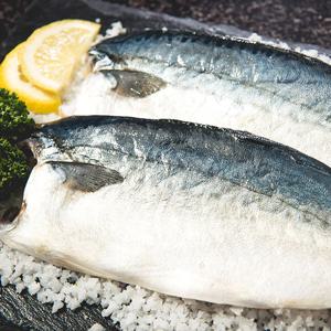 손질 안동간고등어 180g(반마리) x 20팩 안동맛자반 순살