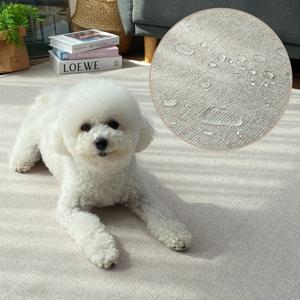 포시즌 방수 여름 카페트 거실 패드 카페트(200x300cm)