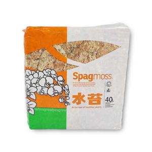 뉴질랜드 수태 스패그모스 AA 500g 풍란 토피어리 몬스테라