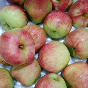 황금열매 전라남도 가정용 흠집사과 10kg 대과 (25-34과)