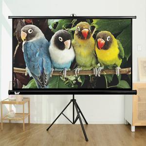 빔프로젝터 스크린 삼각대 일체형 빔스크린 와이드 16대9 60인치